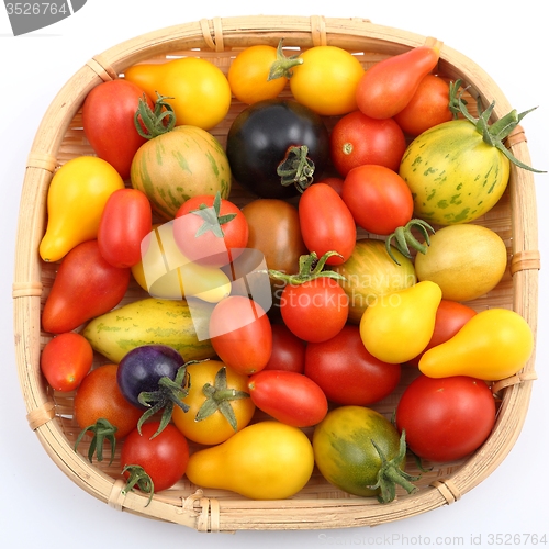 Image of Tomatoes.