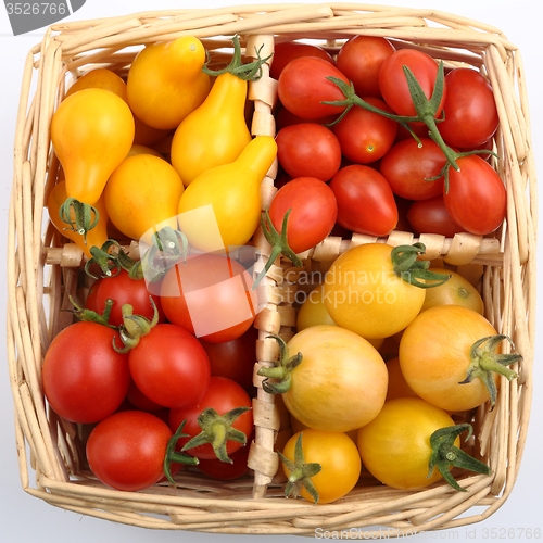 Image of Tomatoes.