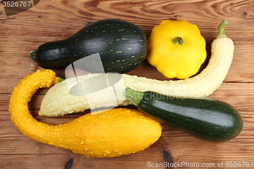 Image of Squashes  and zucchini