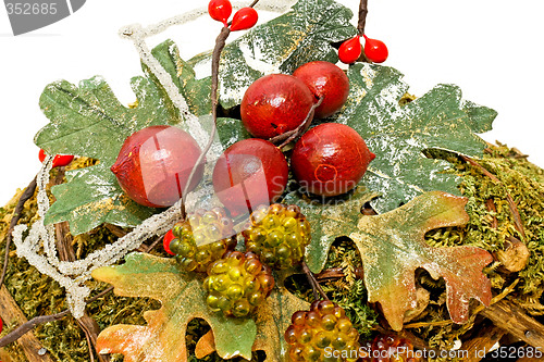 Image of Berry and leaf
