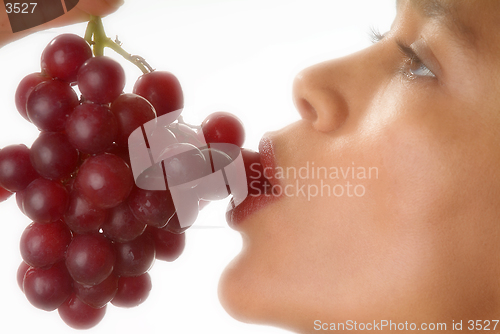 Image of Grape tasting
