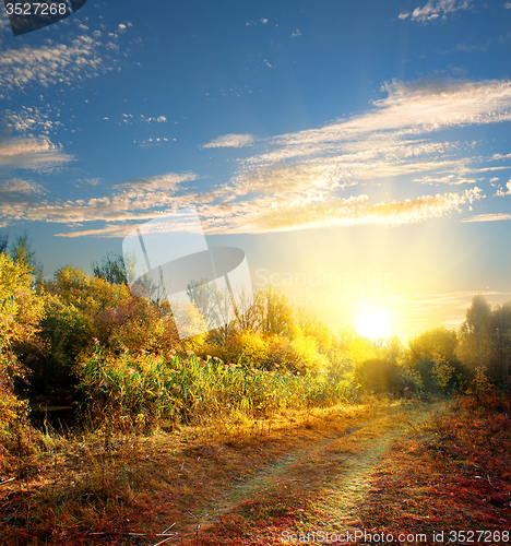 Image of Road in autumn