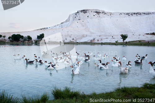 Image of Lake in Pamukkale, Turkey