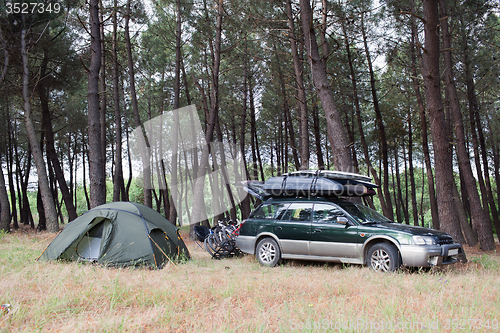 Image of Tent camping in the forest