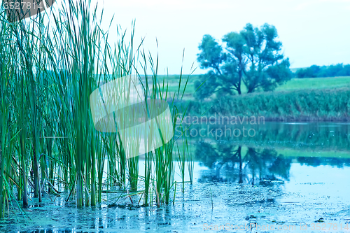 Image of River