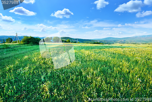 Image of Field