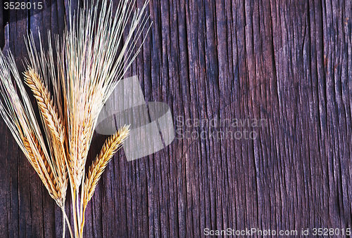 Image of wheat