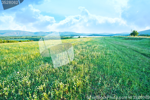 Image of Field