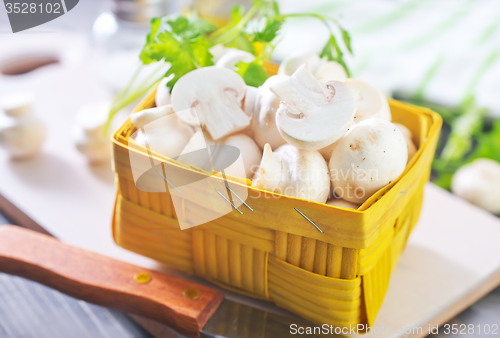 Image of mushroom 