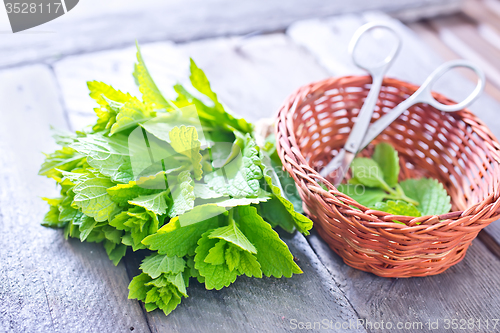 Image of fresh mint leaf 