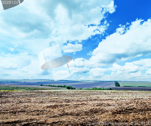 Image of ploughed field with sky