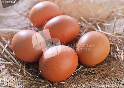 Image of raw chicken eggs