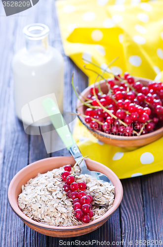 Image of oat flakes