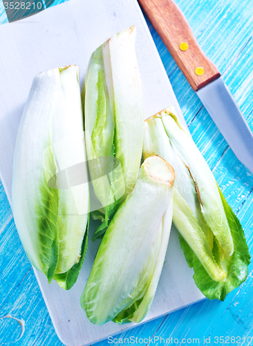 Image of chicory