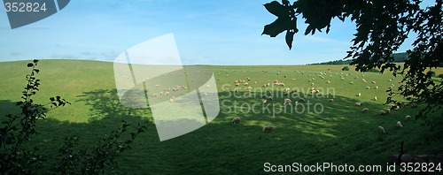 Image of feeding livestock