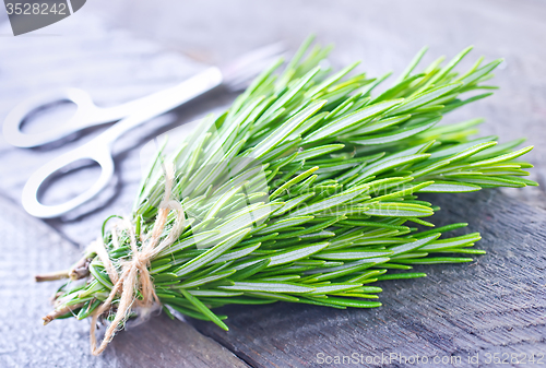 Image of rosemary