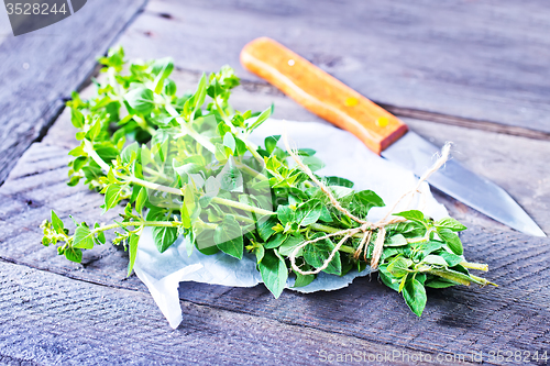 Image of marjoram sprig