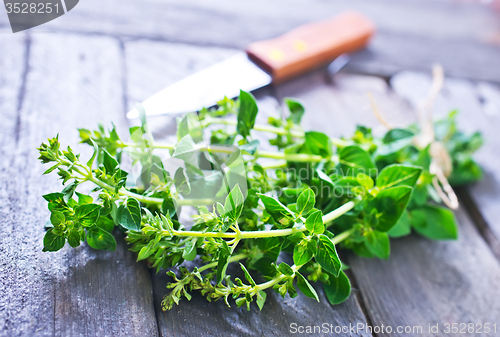 Image of marjoram sprig