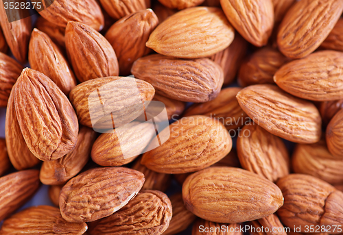 Image of almond without shell