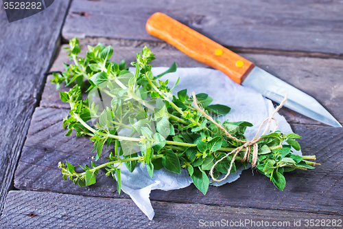 Image of marjoram sprig