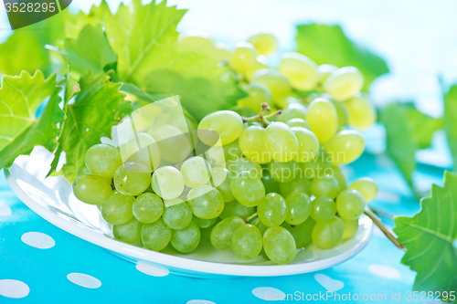 Image of Grape