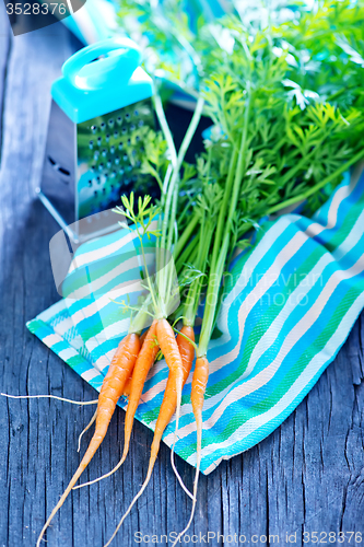 Image of fresh carrot