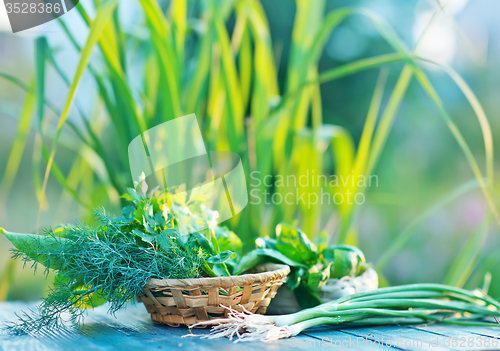 Image of aroma herb