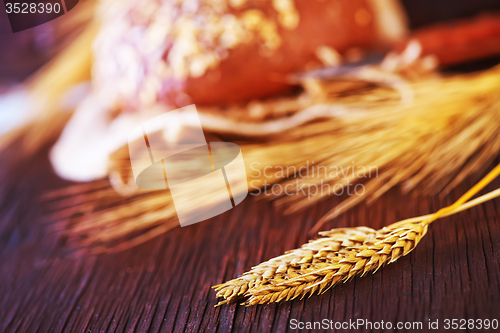 Image of wheat