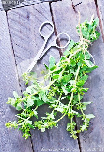 Image of marjoram sprig