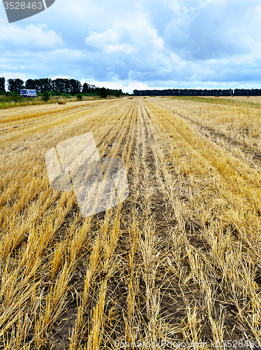 Image of field