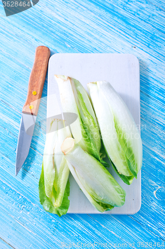 Image of chicory