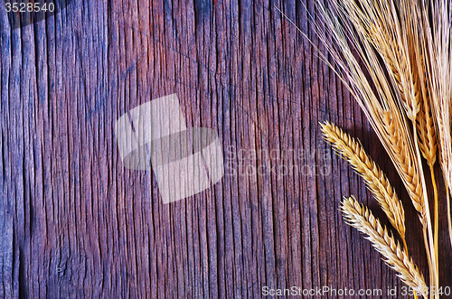 Image of wheat