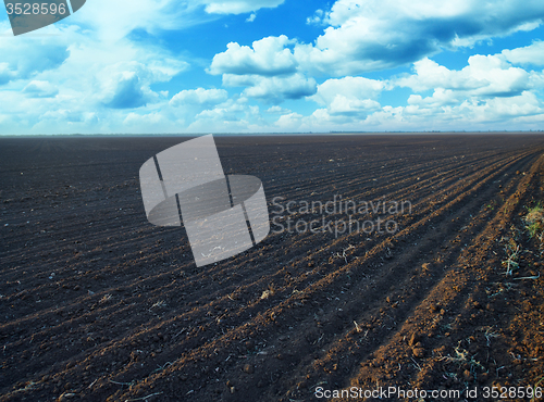 Image of ploughed field with sky