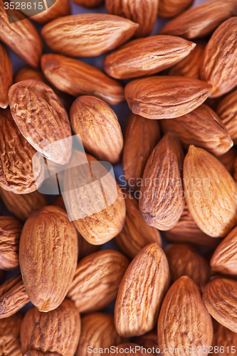 Image of almond without shell