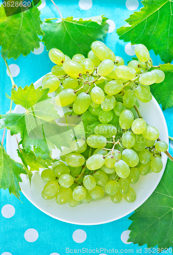 Image of Grape