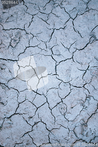 Image of Surface of a grungy dry cracking parched earth