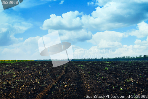 Image of ploughed field with sky