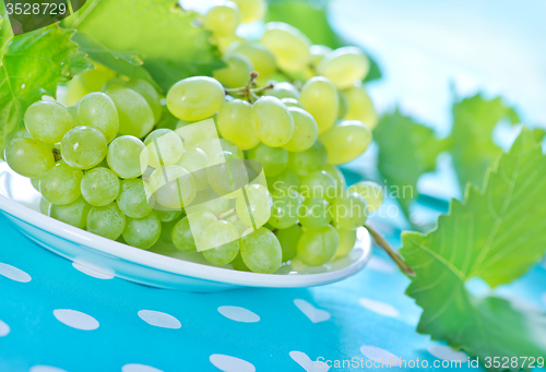 Image of Grape