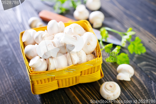 Image of mushroom 