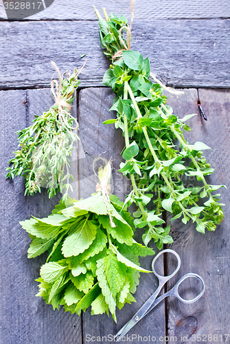 Image of aroma herbs