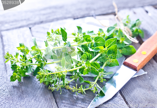 Image of marjoram sprig