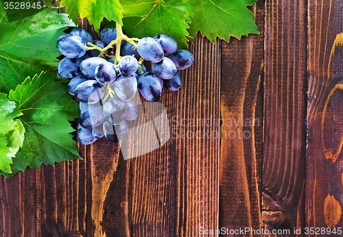 Image of grape