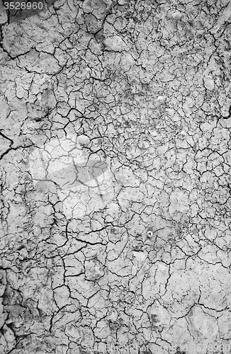 Image of Surface of a grungy dry cracking parched earth