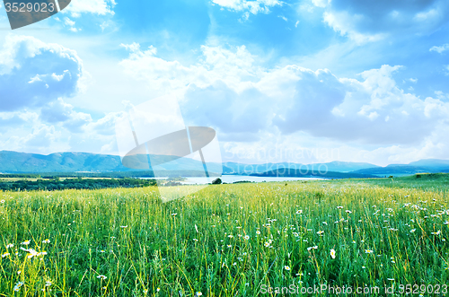 Image of Field