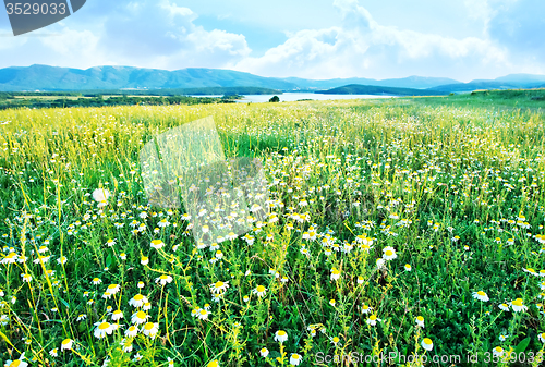 Image of Field