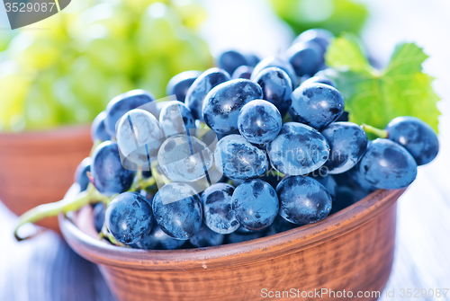 Image of Grape