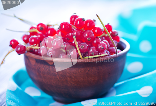 Image of red currant