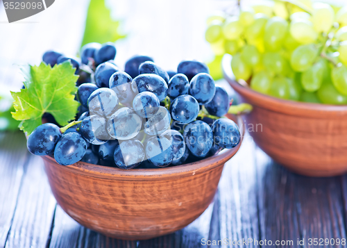 Image of Grape