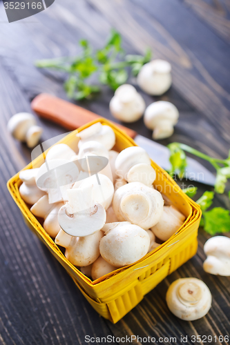 Image of mushroom 