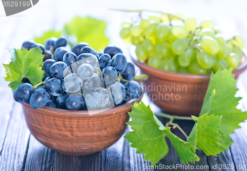 Image of Grape